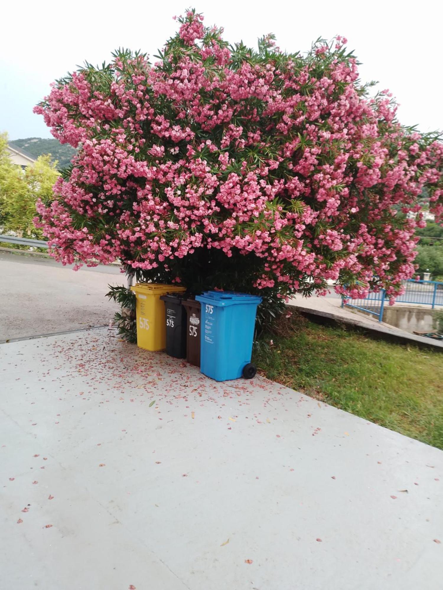 Villa Ribaric Banjol Esterno foto