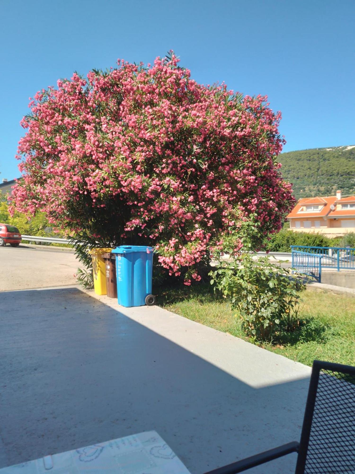 Villa Ribaric Banjol Esterno foto