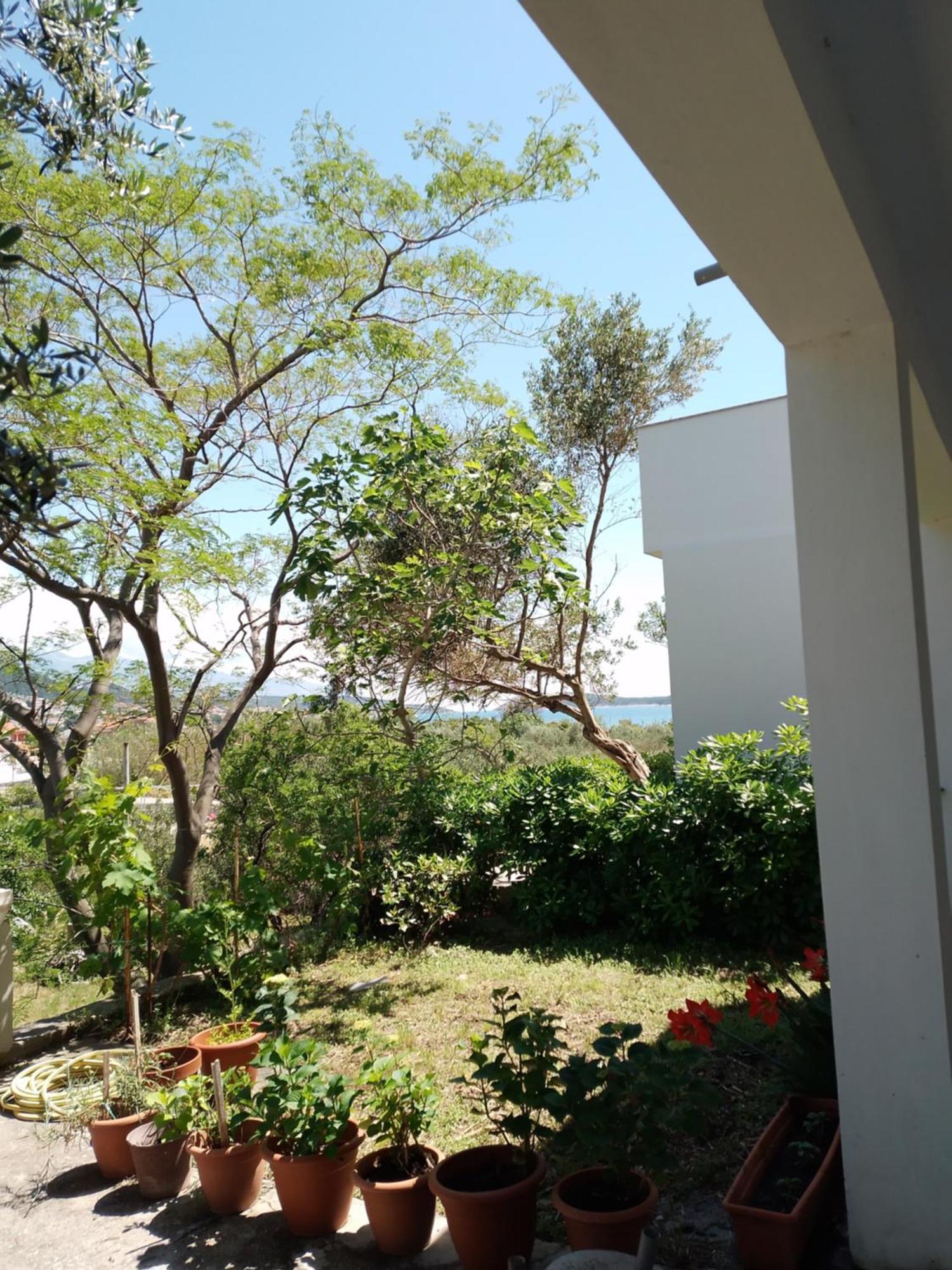 Villa Ribaric Banjol Esterno foto